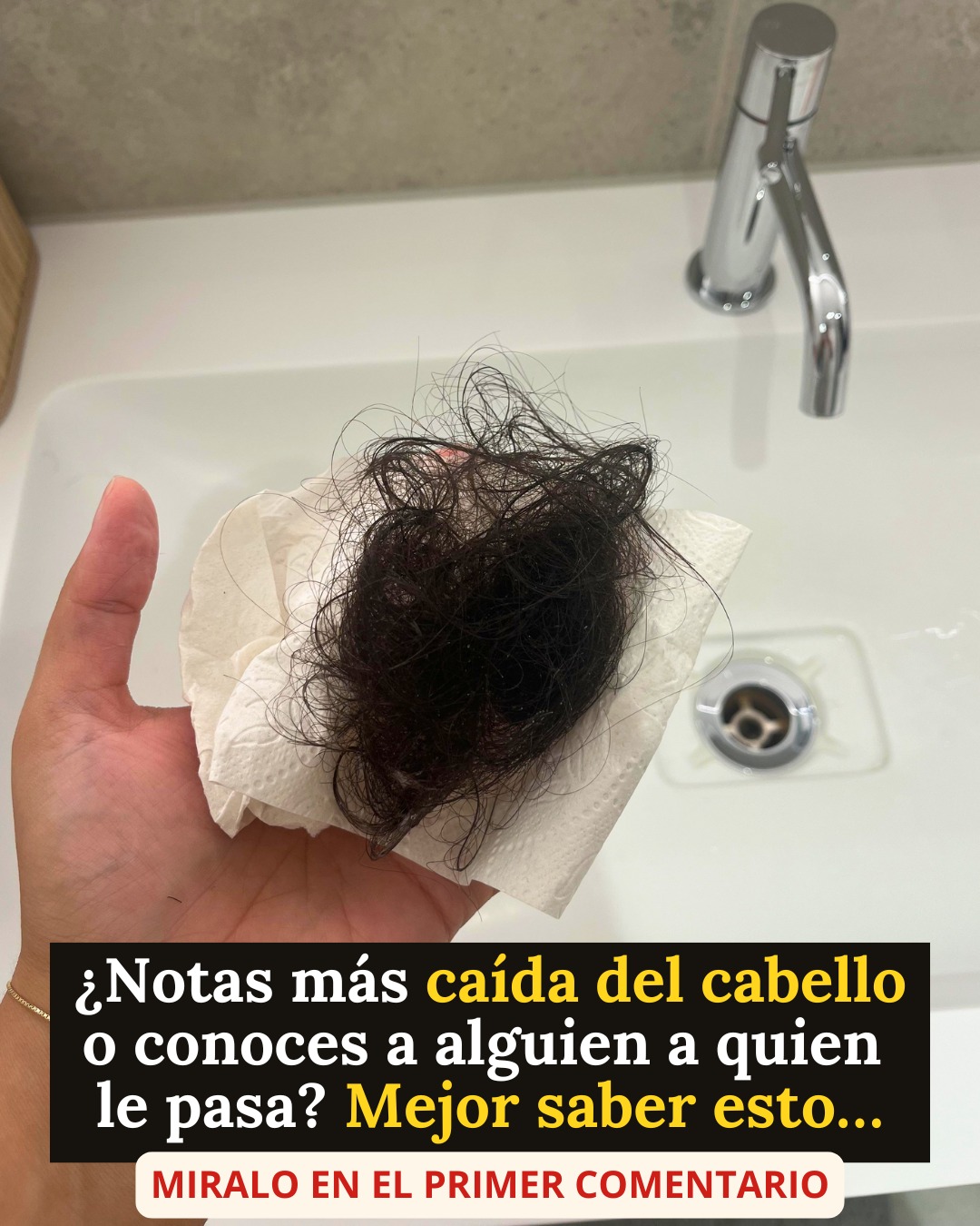 612252837 1300373258793537 4484819765888554757 n