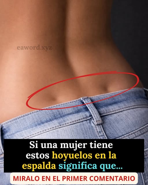 648852540 1444197697752652 2043351328860147226 n