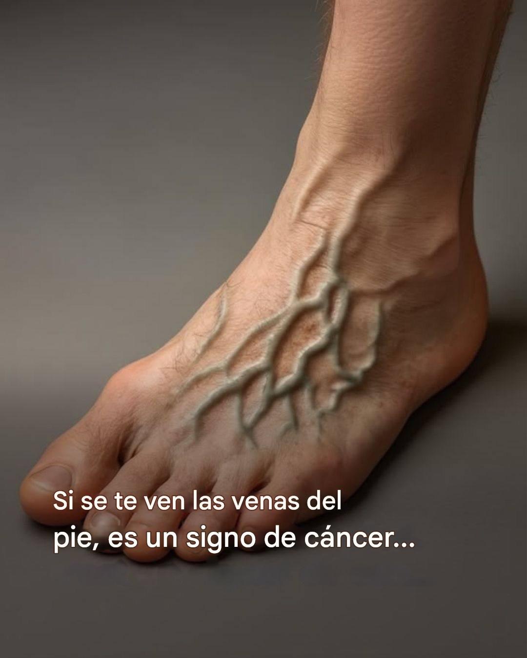 657362703 122263507760174828 4438735914548894831 n