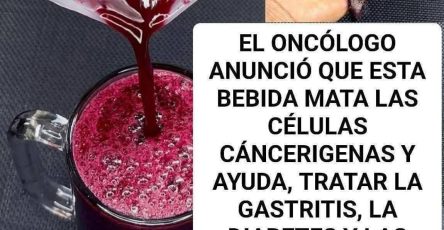 665081598 122406846842001613 1481265659909310068 n