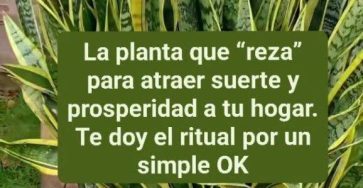 666045690 812134801945127 1228471914564465183 n