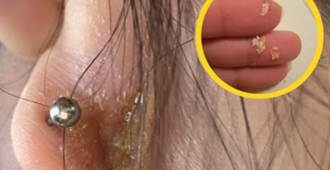 Screenshot 2026 03 29