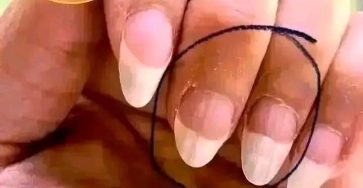 WhatsApp Image 2026 03 18 at 03.06.41